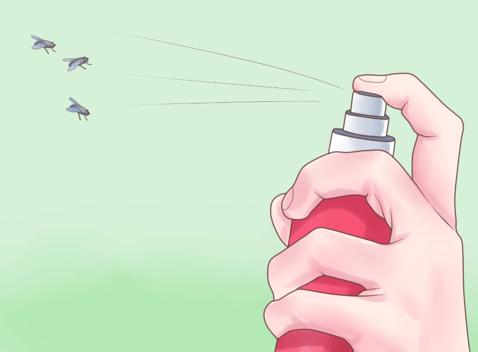 What Will Get Rid Of Flies Outside