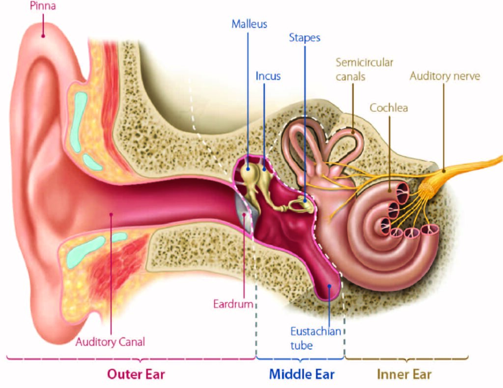 itchy-ears-inside-ear-canal-meaning-causes-allergies-treatment