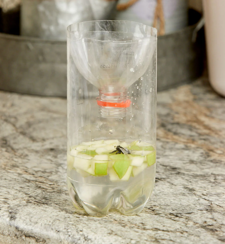 Homemade Fly Trap Bait Recipes That Work And Indoor American Celiac   Homemade Indoor Fly Trap 