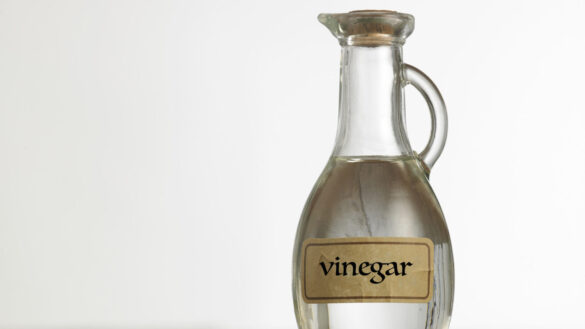How to Get Rid of Drain Flies – Fast, with Vinegar and Naturally ...