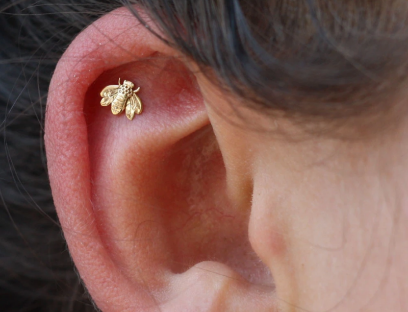 Red Swollen Infected Cartilage Piercing with Bump Causes, Aftercare