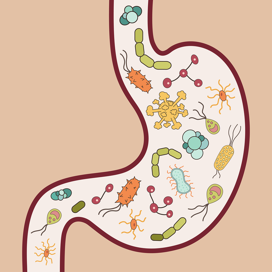 parasitic-yeast-viral-bacterial-intestinal-infections-causes