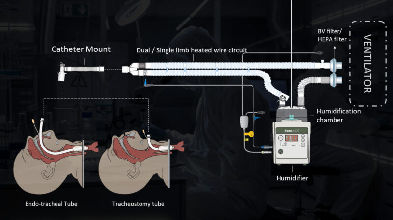 Physiological importance of heating and humidifying anesthetic gases