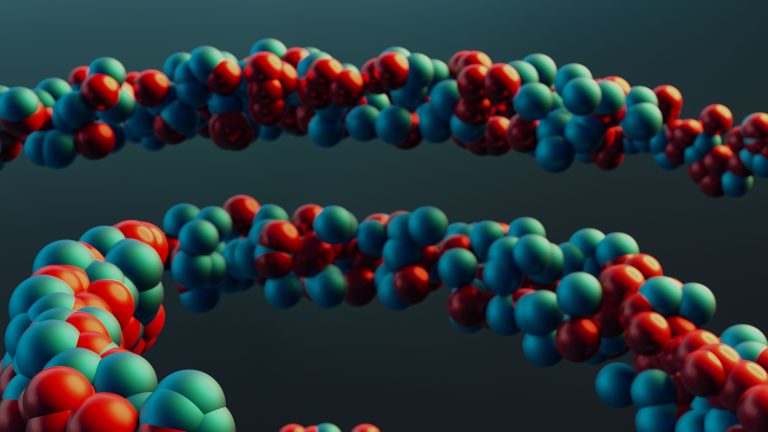 Colorful 3D molecular model representing peptides and their role in biological processes.